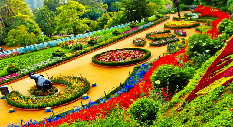 Chennai to Ooty Package